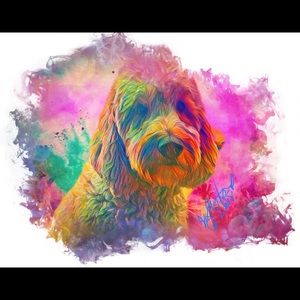 Labradoodle Let me do your Furbaby today!❤️🐾💜